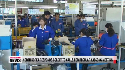 North Korea responds coldly to calls for regular Kaesong meeting