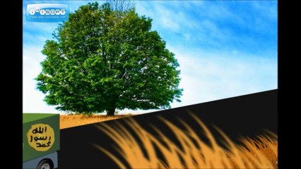 Animsyon 2 yaşında / Animation is 2 years old Alhamdulillah