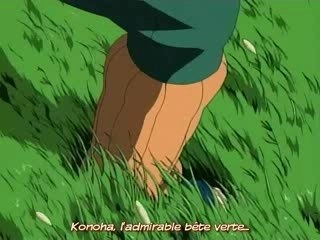 naruto rock lee la bete verte de konoha