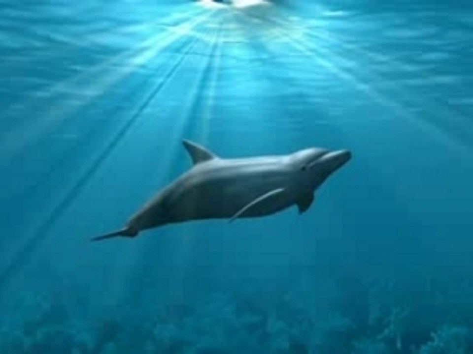 Delfin