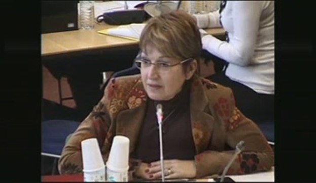 Audition de M. Pierre Vilmont, Sg du Service européen pour l'action extérieure - Mercredi 28 Novembre 2012