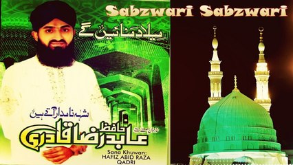 Hafiz Abid Raza Qadri - Sabzwari Sabzwari