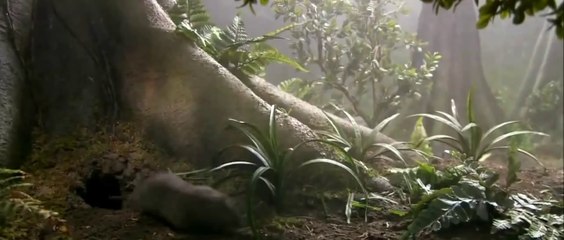 Our Story in 1 Minute