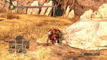 Dark Souls 2 Gameplay Walkthrough #28 | The Shaded Woods Part 1 | NG  Lvl200 