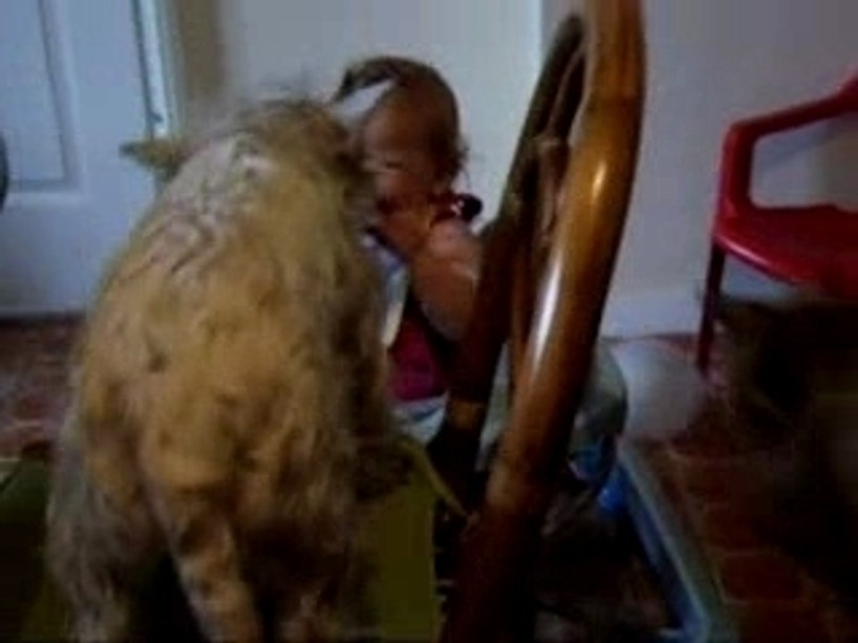 Lorèna et les chiens