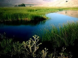 Dinle neyden, duy şikayet etmede her an bu ney... Adnan Kurtul
