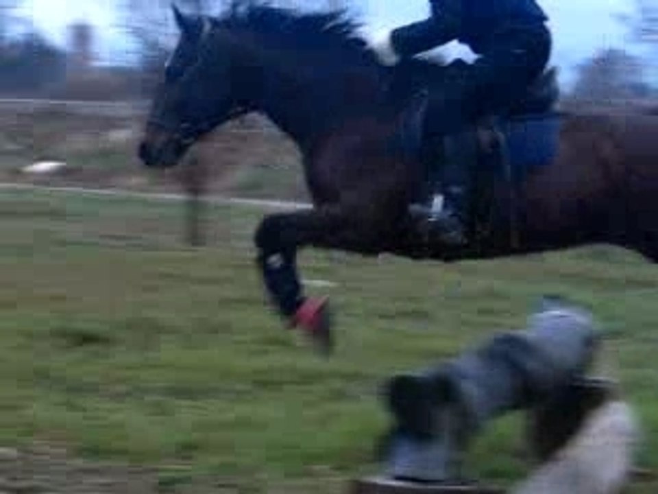 Vidéos cross (11)