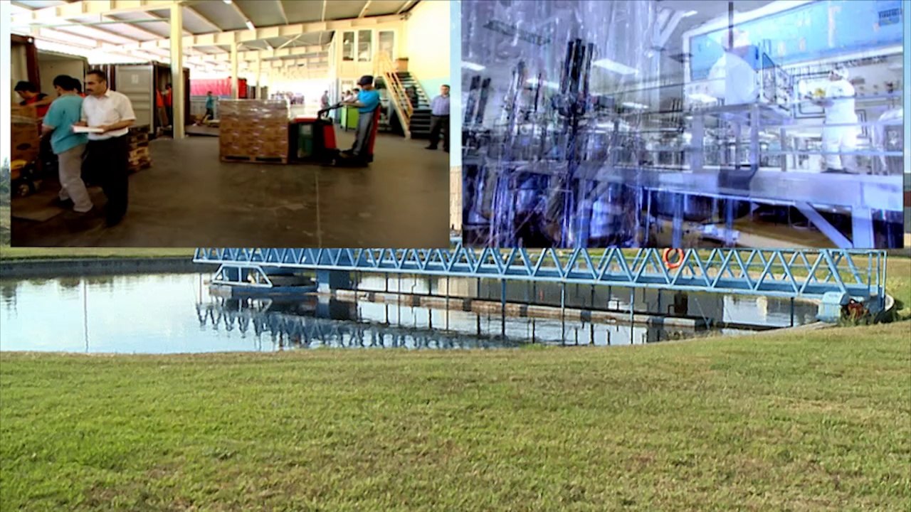 Deri Organize İngilizce 720p