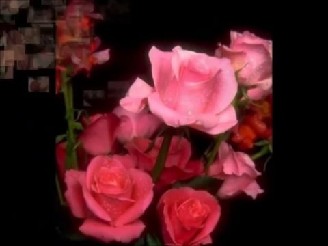 Can mısın cânan mısın... Elif Ömürlü Uyar