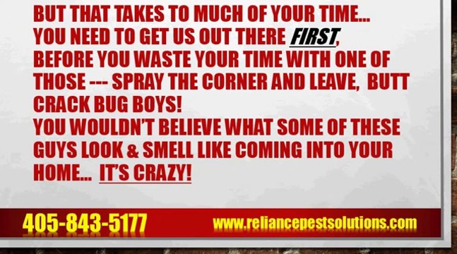 Pest Control Oklahoma City, Best Pest Control in Oklahoma City By Reliance Pest Solutions