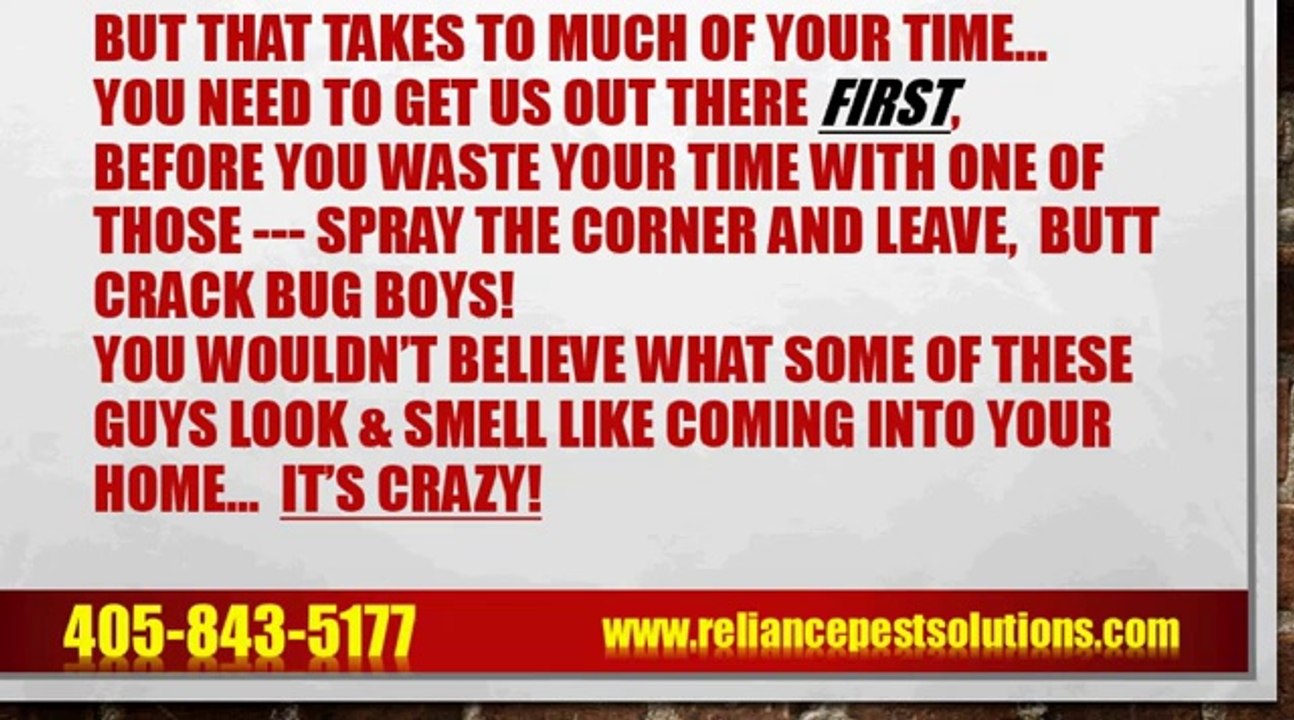 Pest Control Oklahoma City, Best Pest Control in Oklahoma City By Reliance Pest Solutions