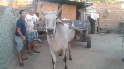 kendi kendine - Takozovic.com