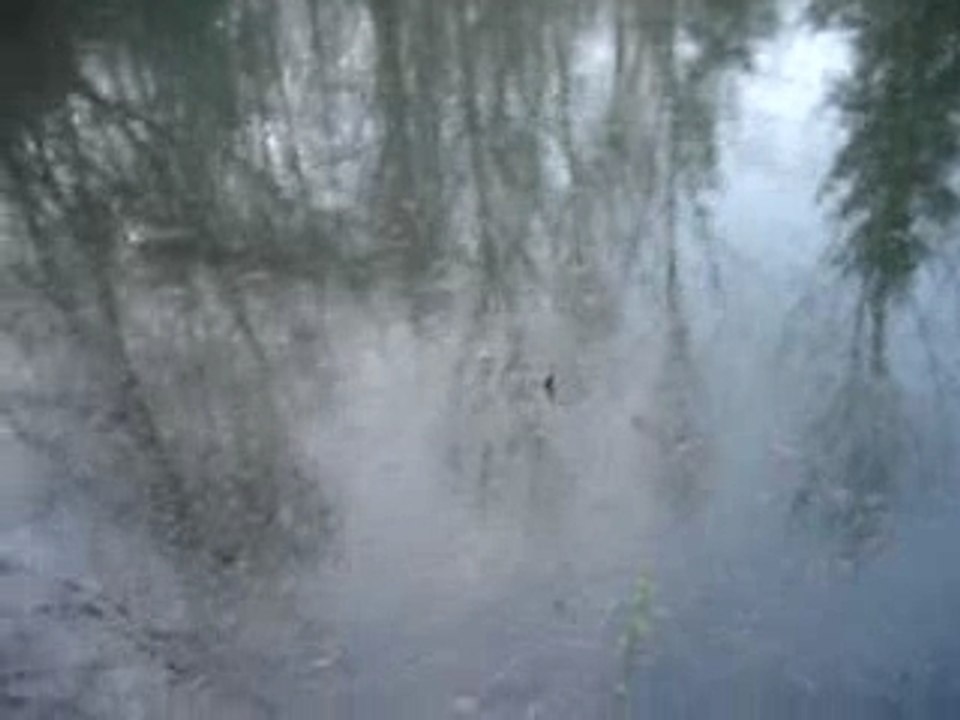 V'la l'pêcheur !