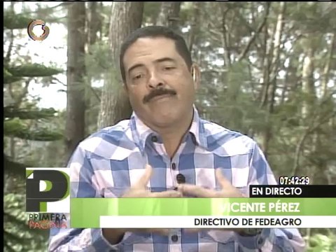 Fedeagro: El valor del medio kilo de café debería de ubicarse en 50 Bs