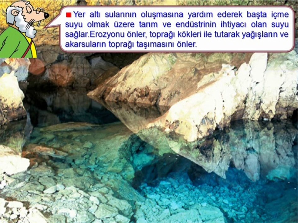 Orman-1