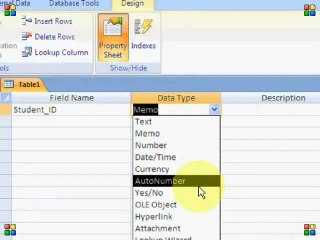 Microsoft Power Access 2007 in Urdu Lesson 02