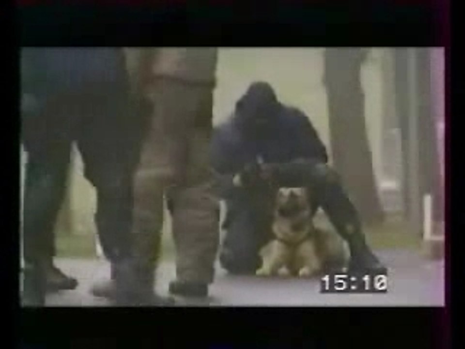 Police Dog