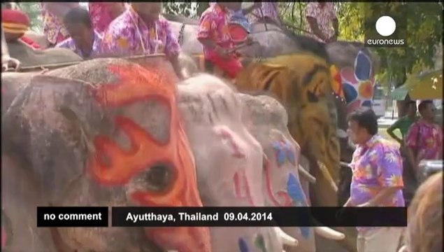 Bataille d'eau avec des éléphants