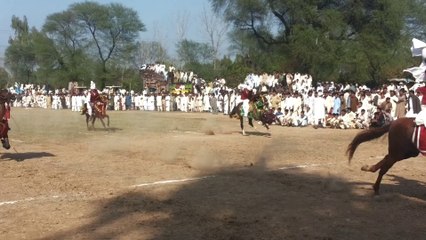4 Section Tent Pegging Jalpana Mela 2014, Pakistan
