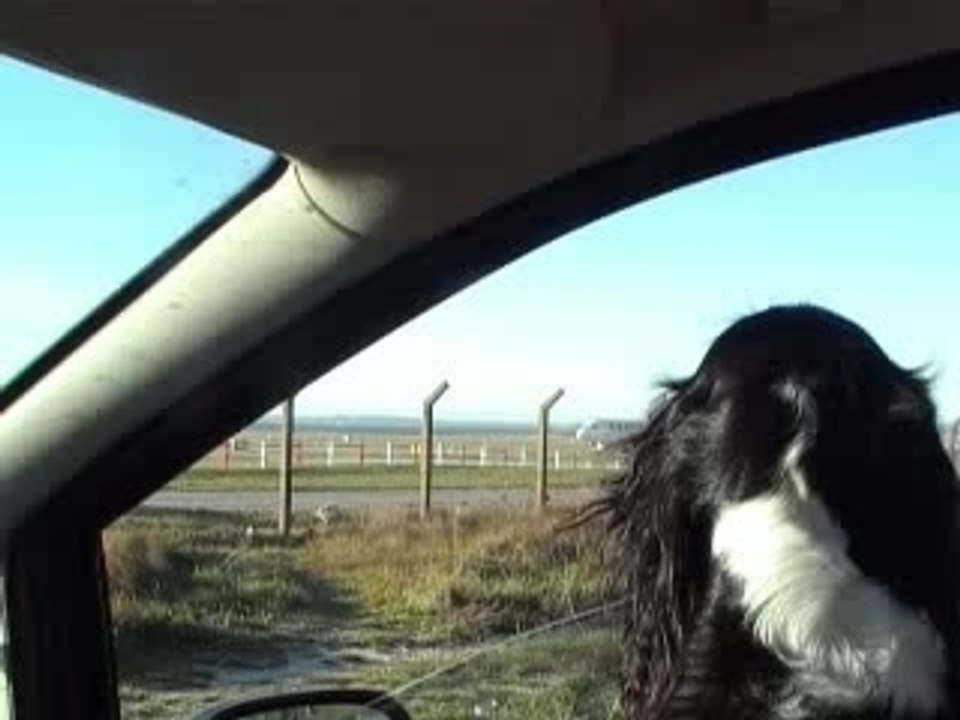 Atterrissages avions à marignane.mpg