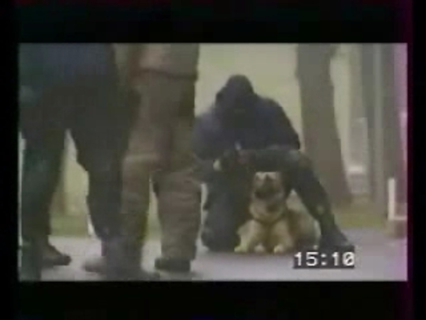 ⁣France Police Dog Training
