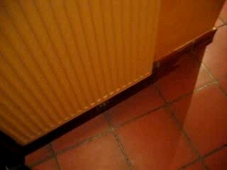 Isis agility de chat mdr