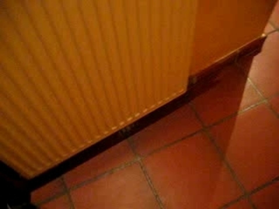 Isis agility de chat mdr