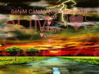Azer Bülbül ✿⊹Canım Yanıyor ⊹✿⊰♥⊱ GüLbiye♥Orhan ⊰♥⊱
