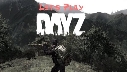Let's Play Together: DayZ - Testvideo mit komischen Leuten :D [DE | FullHD]