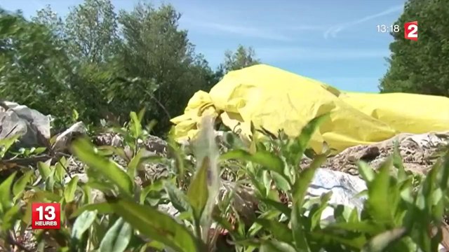 Une réserve naturelle de Camargue menacée par des déchets plastiques