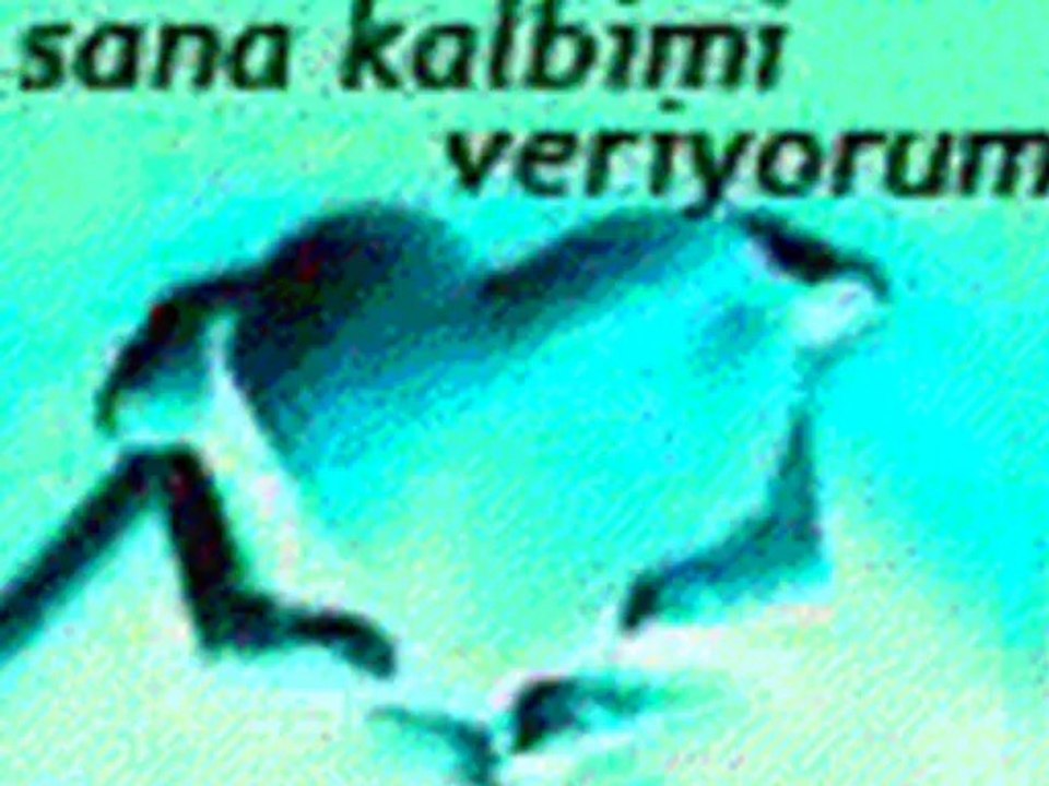 Dj Ateş 《♡》 Canım Sevgilim 《♡》⊰♥⊱ GüLbiye♥Orhan ⊰♥⊱