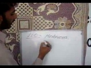 slo school no.4 shahkot-1