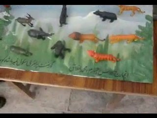 slo school no.4 shahkot-2