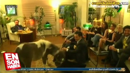 Adnan Oktar'ın Canlı Yayına At Çıkarması