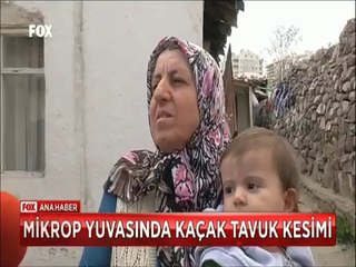 Ankara'nın göbeğinde mikrop yuvasında kaçak tavuk kesimi