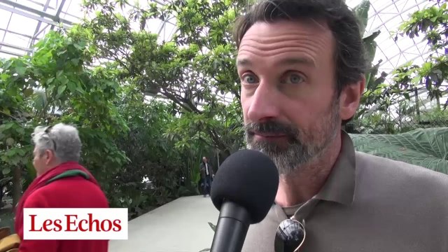 Zoo de Vincennes : les félins en vedette, un PPP en débat