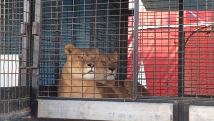 Enregistrement mobile du 10 avr. 2014