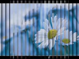 ÇİĞDEM DEMİR KALDIRIM TAŞI