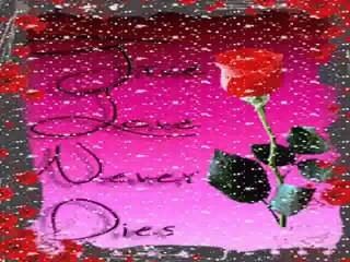 Erkan Ağa┊★GitmeTurnam Şiirli★┊⊰♥⊱ GüLbiye♥Orhan ⊰♥⊱