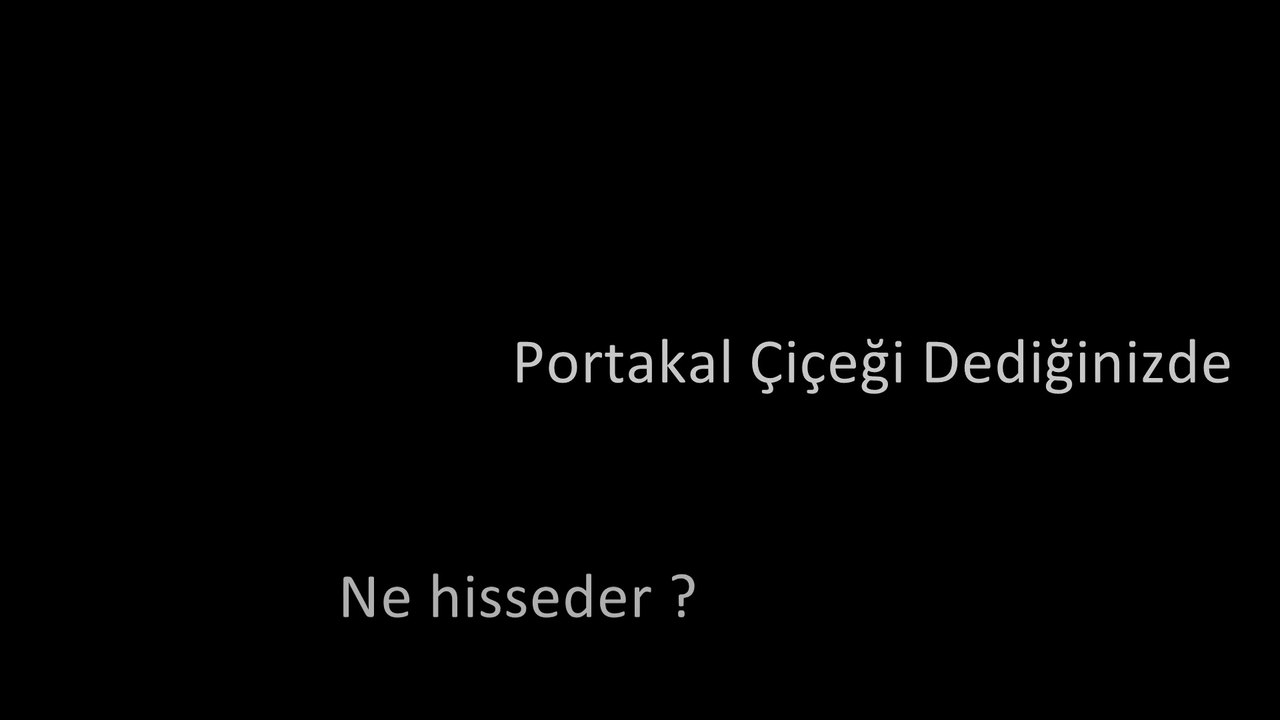İstanbul'daki Adanalılar'dan muhteşem destek videosu...