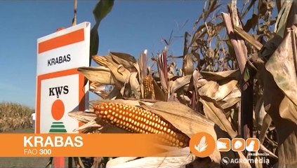 KWS, Krabas_ 342 _05.04.2014.