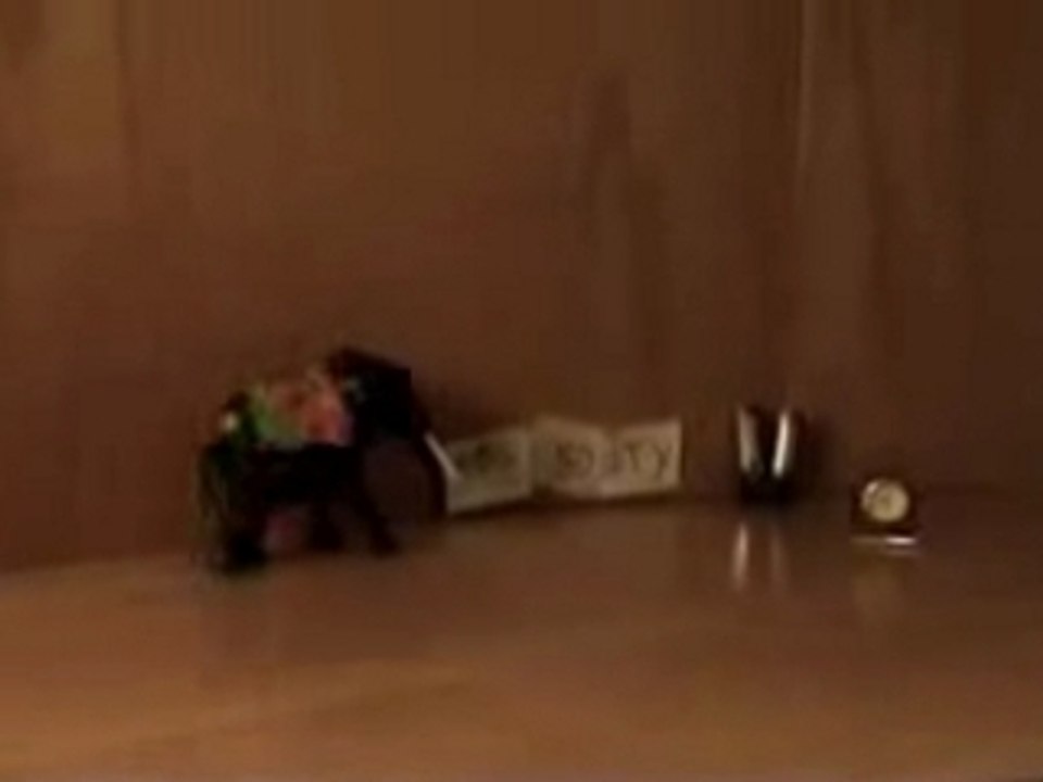 The World Of Absurdity