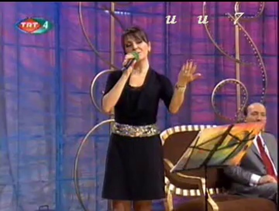 Meltem SEYFELİOĞLU-Kirpiklerinin Gölgesi Güllerle Bezenmiş