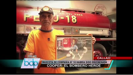 Posible envenenamiento mató a "Cooper" el emblemático perro bombero