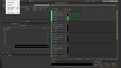 How To Record Audio Using Adobe Audition & Audacity