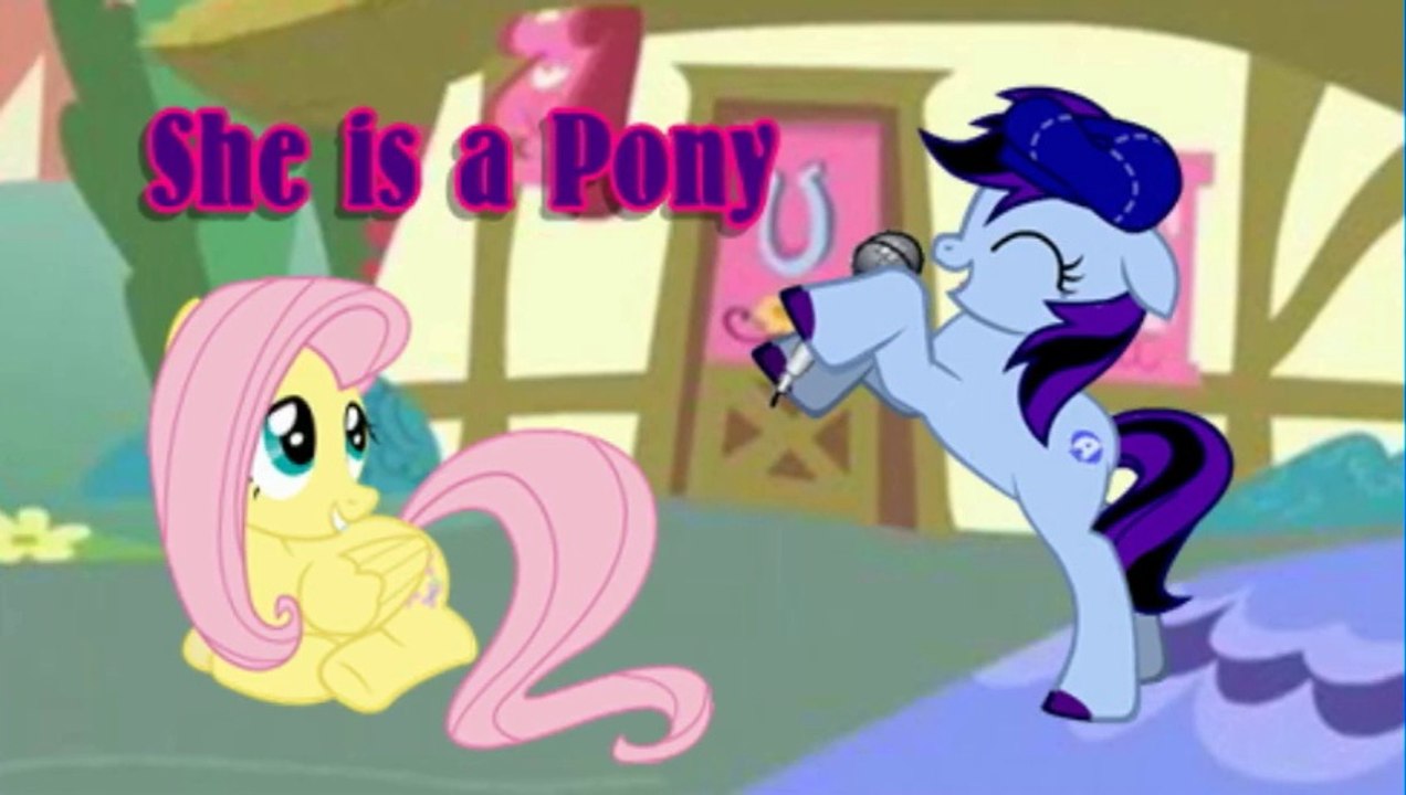 DJ Gox - She is a Pony