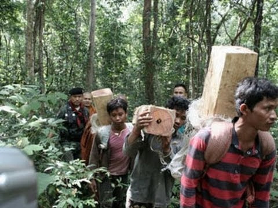 Three Cambodian illegal loggers killed by Thai officials