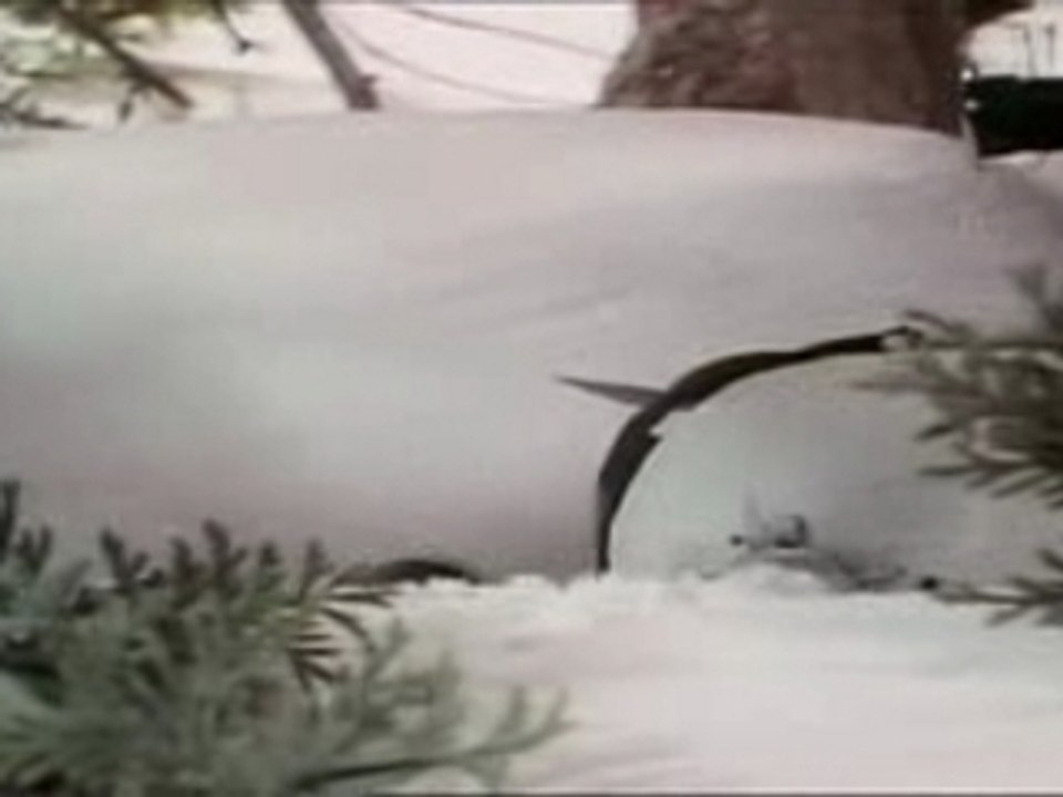 Saturnin - Le bonhomme de neige a des an