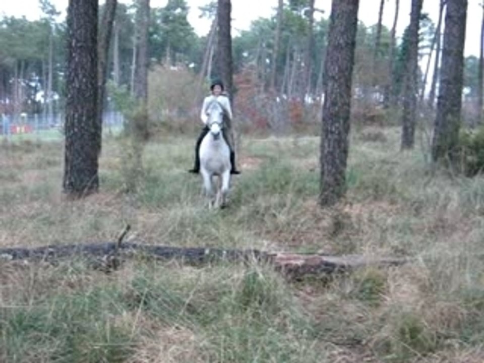 tronc avec isa licol/à cru
