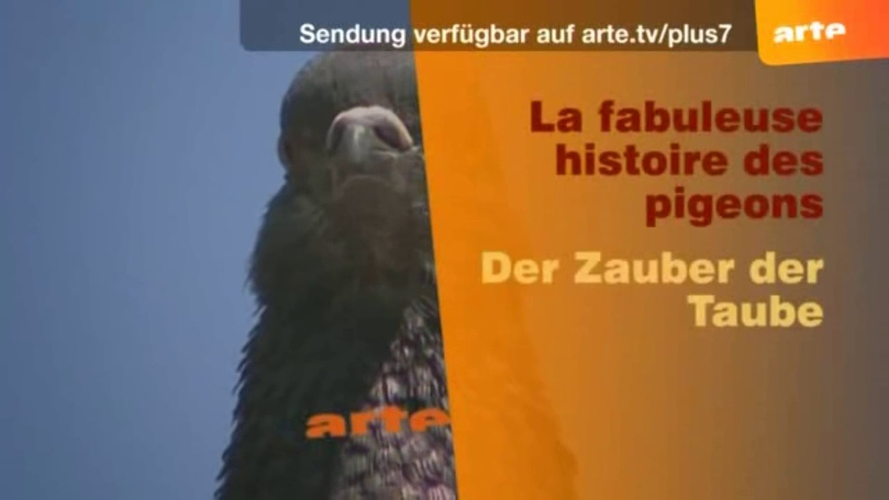 Der Zauber der Tauben - 2008 - by ARTBLOOD